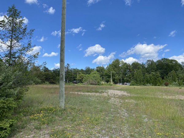 Tawas Drive-In Theatre - June 17 2022 Photo (newer photo)